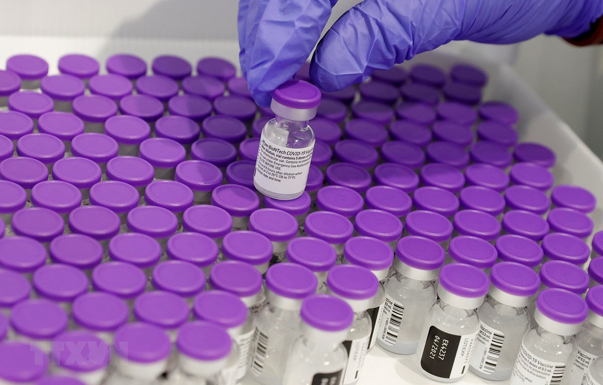 Vaccine ngừa COVID-19 của Pfizer/BioNTech. (Ảnh: AFP/TTXVN)