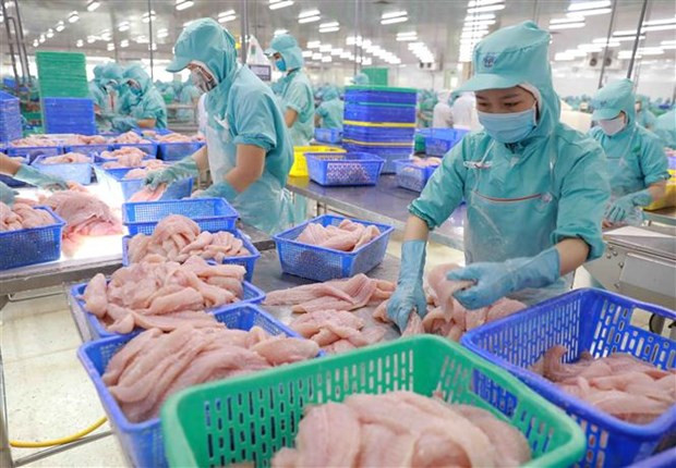 VASEP: Dự báo xuất khẩu thủy sản năm nay chỉ đạt 8,4 tỷ USD hình ảnh 1 VASEP: Du bao xuat khau thuy san nam nay chi dat 8,4 ty USD hinh anh 1