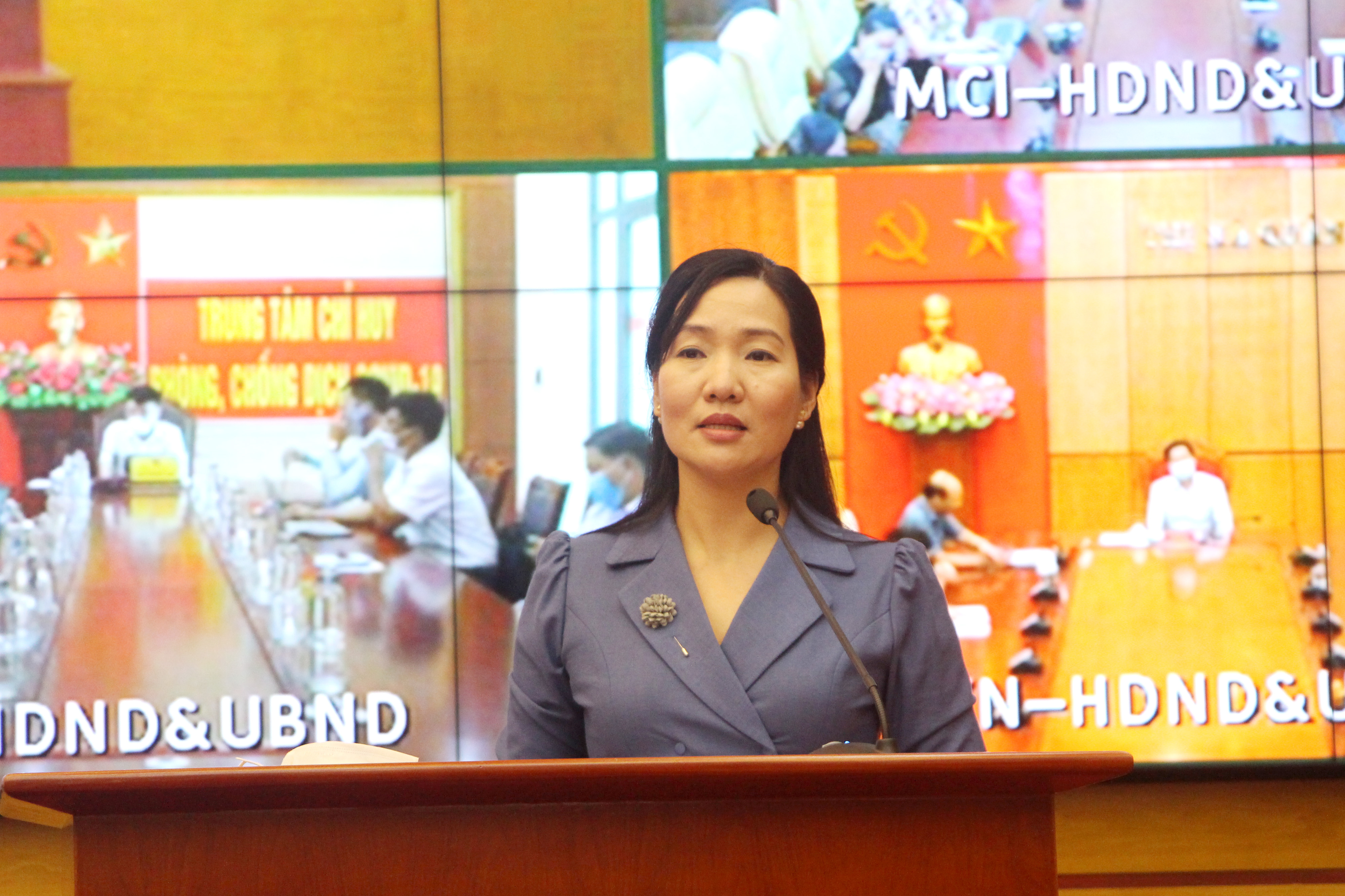 Đồng chí Nguyễn Thị Hạnh, Phó Chủ tịch UBND tỉnh, phát biểu tại hội nghị.