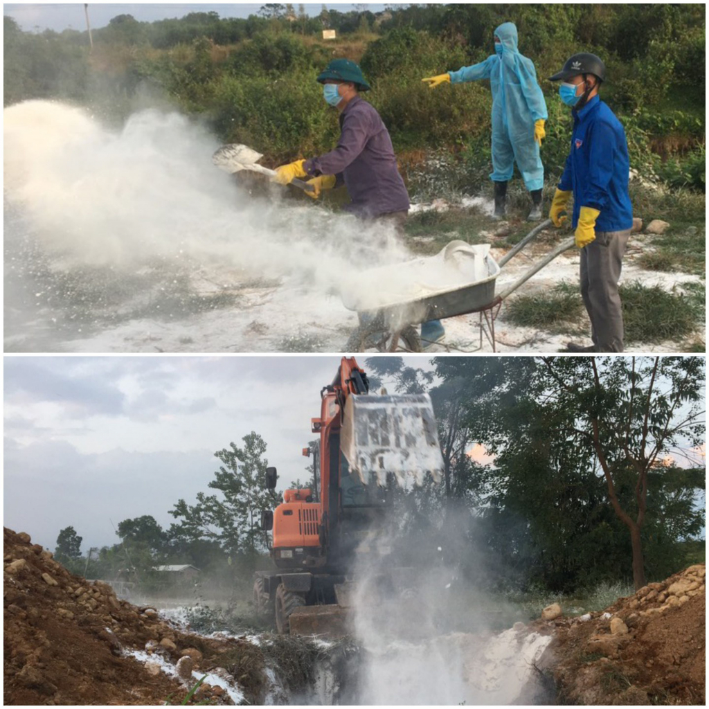 Các đơn vị chức năng tiêu hủy đàn gà bị nhiểm chủng cúm A/H5N8 tại gia đình ông Nguyễn Đình Khanh, thôn 5, xã Quảng Minh, huyện Hải Hà.