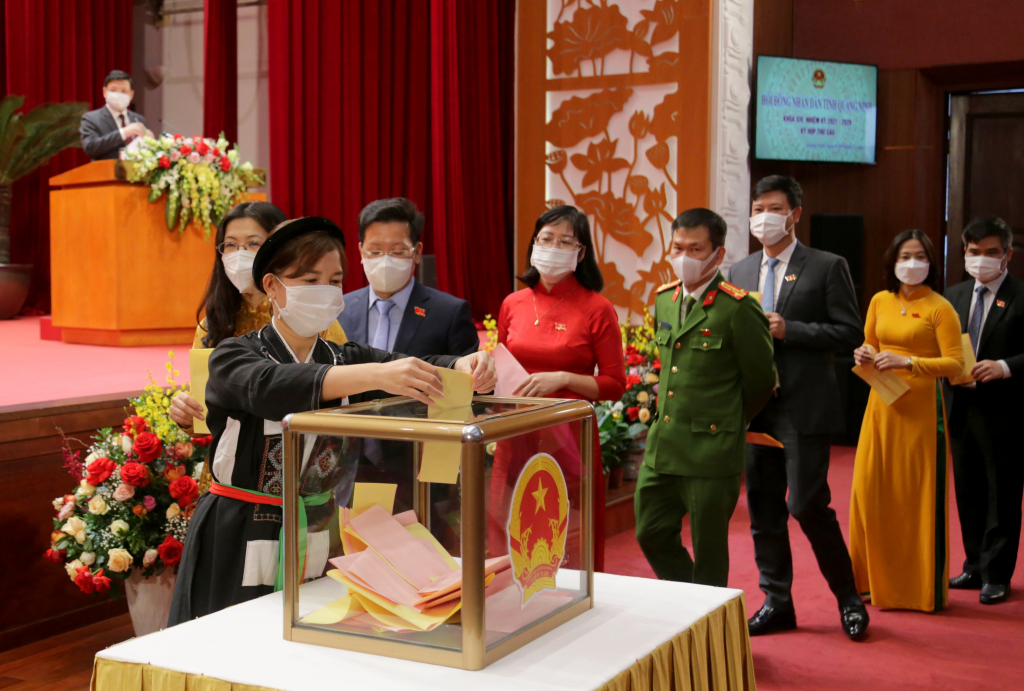 Miễn nhiệm, bầu bỏ phiếu, biểu quyết