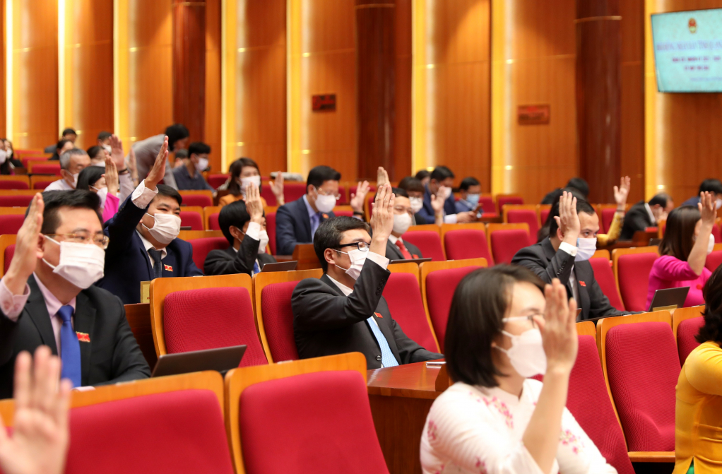 miễn nhiệm, bầu bỏ phiếu, biểu quyết (10)