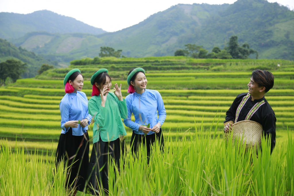 Trảy hội