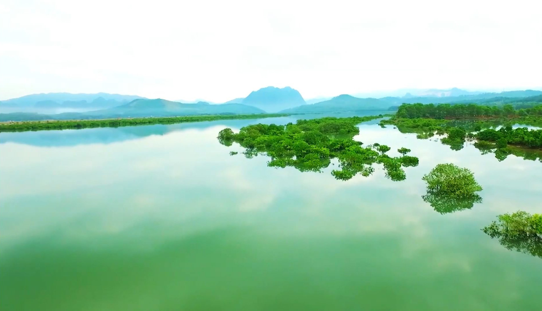 Ảnh với chú thích