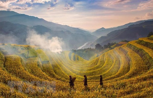 Ruộng bậc thang Mù Cang Chải đón nhận Bằng Di tích Quốc gia đặc biệt hình ảnh 1 Ruong bac thang Mu Cang Chai don nhan Bang Di tich Quoc gia dac biet hinh anh 1
