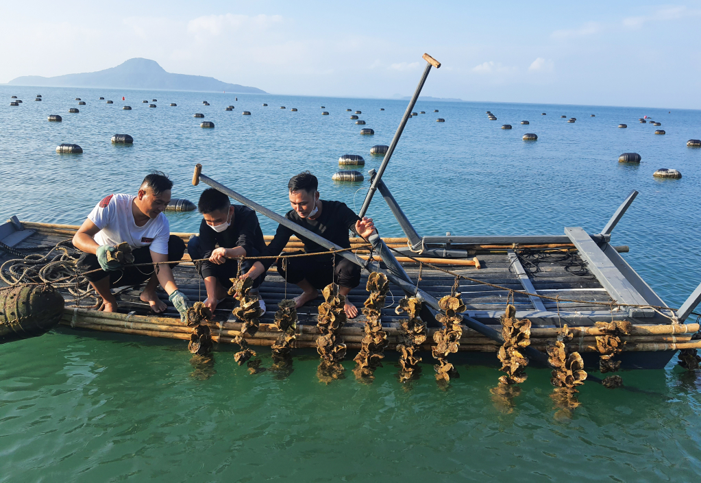 Năm 2022, thủy sản tiếp tục là lĩnh vực sản xuất hạt nhân của ngành nông nghiệp.