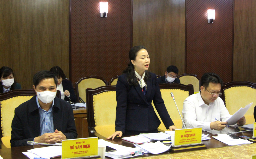 Đồng chí Vi Ngọc Bích, Phó Chủ tịch Thường trực HĐND tỉnh, phát biểu tại hội nghị.