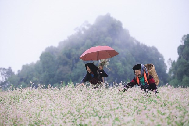Phát triển công viên địa chất - một hướng đi mới của ngành du lịch hình ảnh 1 Phat trien cong vien dia chat - mot huong di moi cua nganh du lich hinh anh 1
