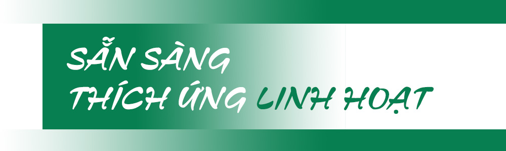 Ảnh trong văn bản