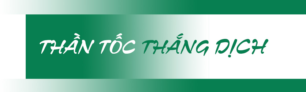 Ảnh trong văn bản