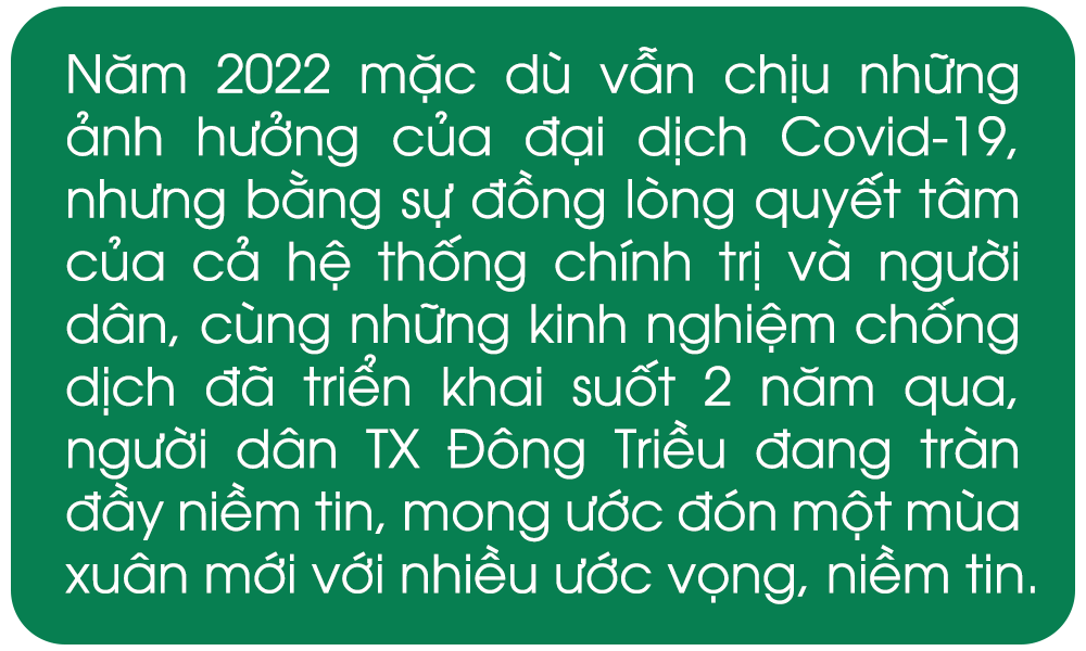 Ảnh trong văn bản