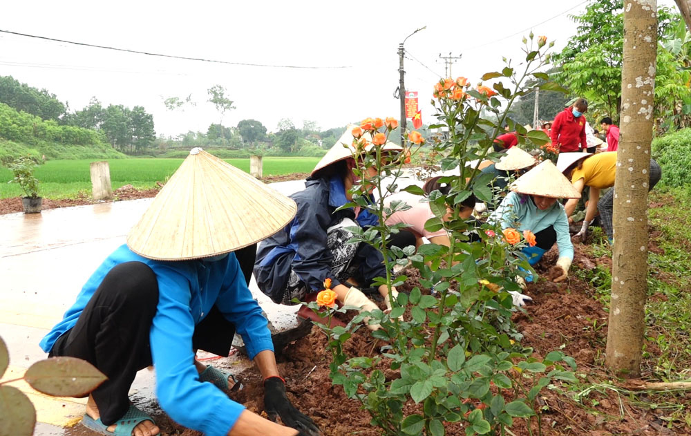 Chị em phụ nữ xã Cộng Hòa (Cẩm Phả) trồng hoa hồng tại thôn Khe hưởng ứng phong trào