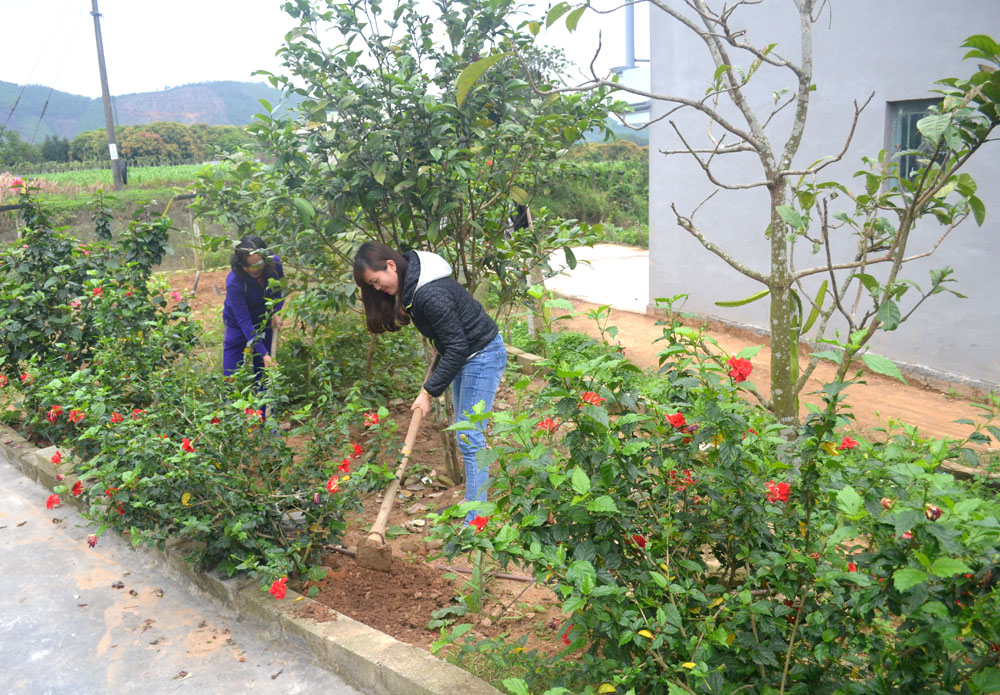 Ở thôn Lò Vôi ngày nay gia đình nào cũng trồng hoa cho đẹp