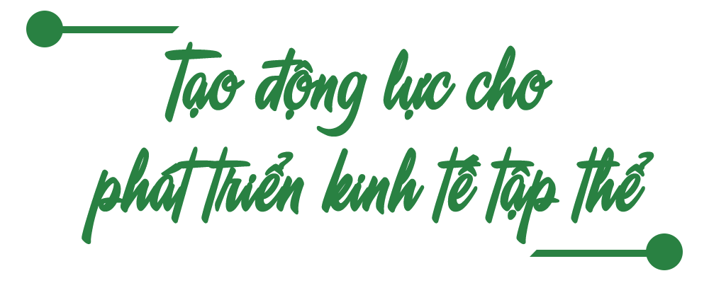 Ảnh trong văn bản