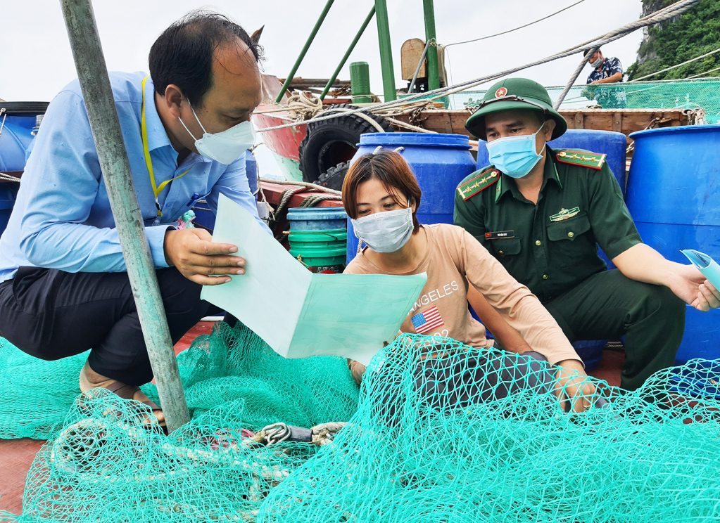 Cán bộ Văn phòng thanh tra, kiểm tra, kiểm soát nghề cá cảng Cái Rồng (huyện Vân Đồn) tuyên truyền chống khai thác thủy sản trái phép đến các chủ tàu khai thác thủy sản tuyến khơi. Ảnh: Việt Hoa.