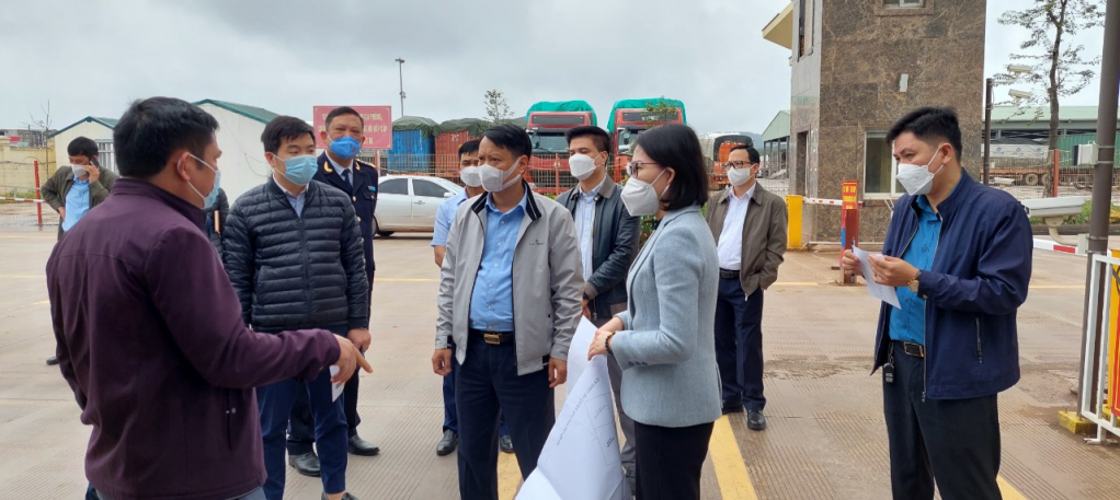 Lãnh đạo TP Móng Cái kiểm tra việc thiết lập