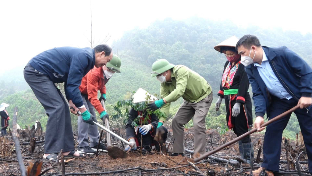 Cán bộ và người dân xã Thanh Sơn tham gia trồng lim xanh phát triển rừng gỗ lớn.