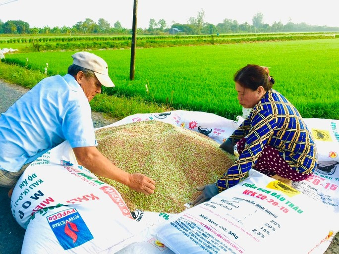 Nỗ lực kìm giá phân bón - Ảnh 1. Nỗ lực kìm giá phân bón - Ảnh 1.