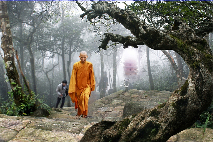 Cây đại ở Yên Tử là cây Di sản Việt Nam.