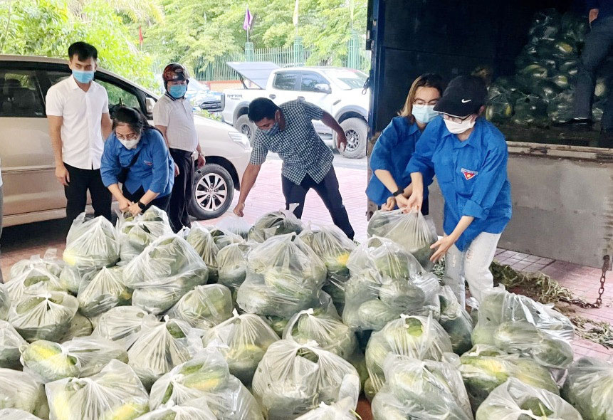 Ban Thường vụ Đoàn Khối các cơ quan tỉnh đã phát động đến các đơn vị Đoàn trực thuộc hỗ trợ tiêu thụ được hơn 6 tấn dưa hấu cho tỉnh Bắc Giang.