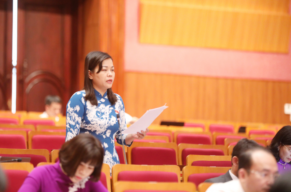 Đại biểu Vũ Thị Diệu Linh, tổ đại biểu TX Quảng Yên, phát biểu thảo luận tại kỳ họp thứ 8.