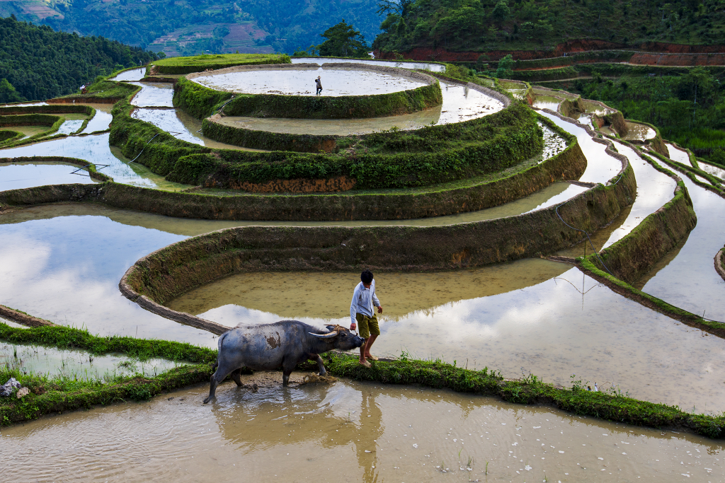 Vẻ đẹp yên bình.