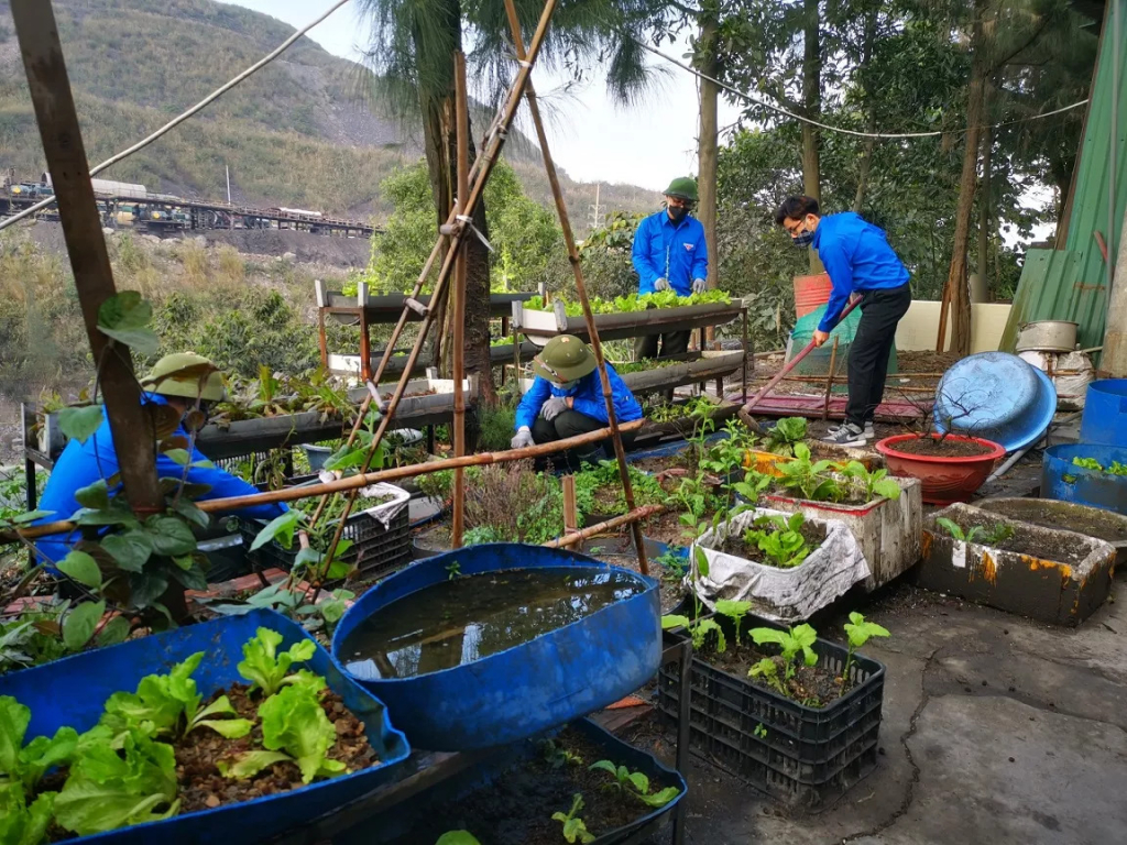 Công tác tăng gia sản xuất, vệ sinh môi trường của ĐVTN Công ty 790.