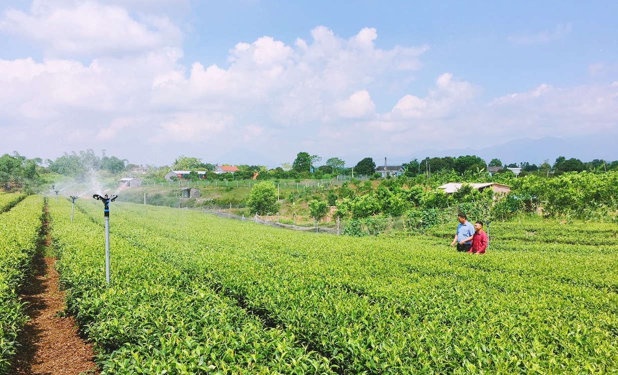 Ảnh với chú thích