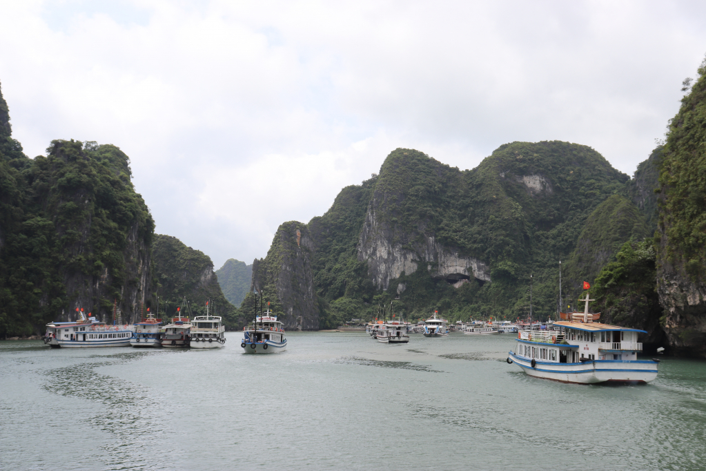 Các tàu tham quan trên Vịnh Hạ Long đáp ứng đủ yêu cầu đảm bảo an toàn đường thủy.