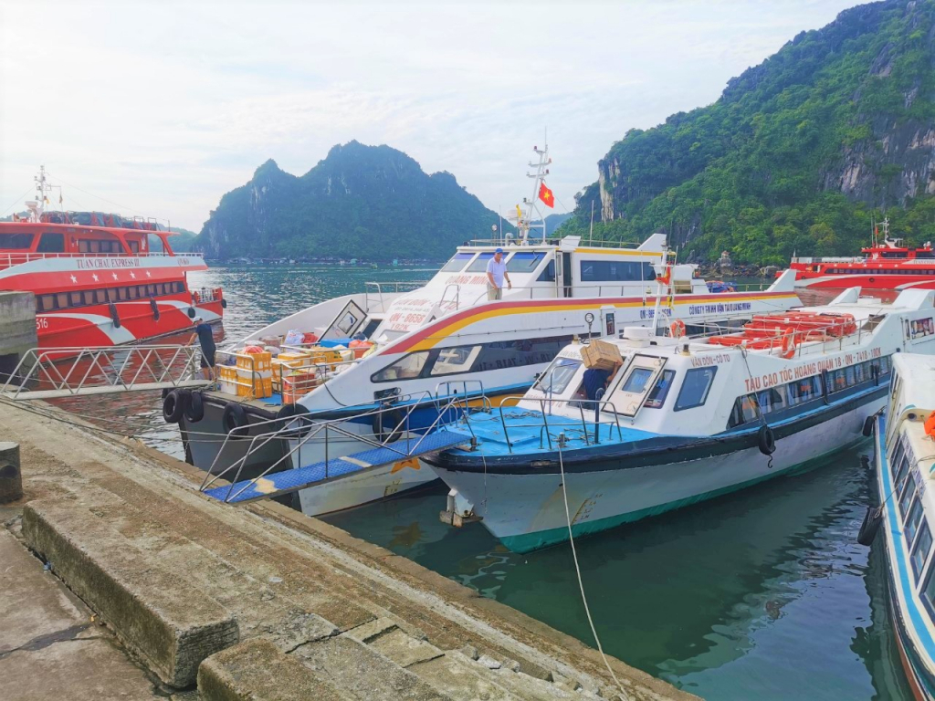 Phương tiện vận chuyển khách tại Cảng Cái Rồng đáp ứng đủ các yêu cầu đảm bảo an toàn cho du khách.