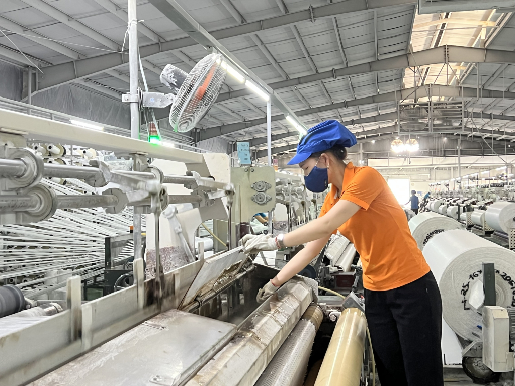 CNLĐ làm việc tại Công ty TNHH Vinanewtarp Việt Nam (KCN Cái Lân).