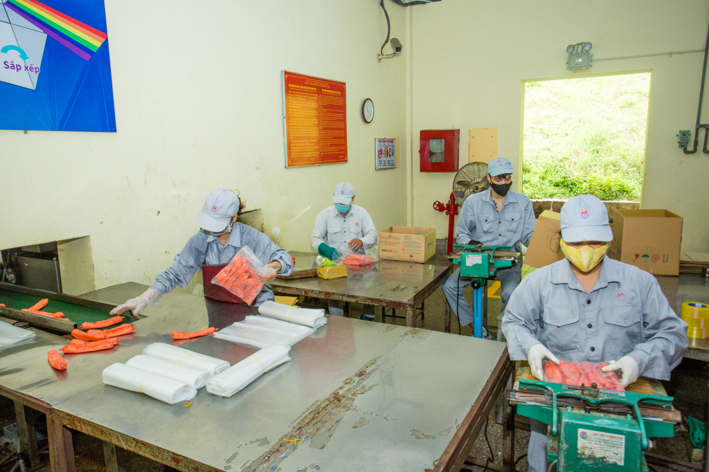 Ngoài việc cung ứng thuốc nổ trong nước hiện nay, Công ty còn xuất khẩu thuốc nổNhũ tương hầm lò sang các nước trong khu vực Đông Nam Á. Năm 2021, Công ty đã xuất khẩu được 3.360 tấn thuốc nổ các loại, dự kiến năm 2022 xuất khẩu trên 3.000 tấn.