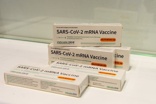 Indonesia cấp phép vaccine mRNA ngừa COVID-19 của Trung Quốc hình ảnh 1 Indonesia cap phep vaccine mRNA ngua COVID-19 cua Trung Quoc hinh anh 1