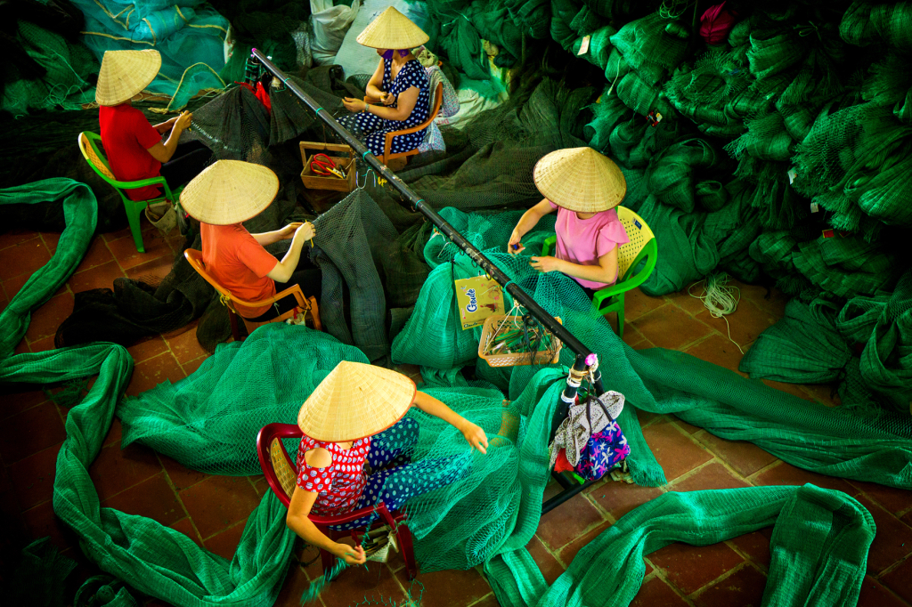 Tổ đan lưới.