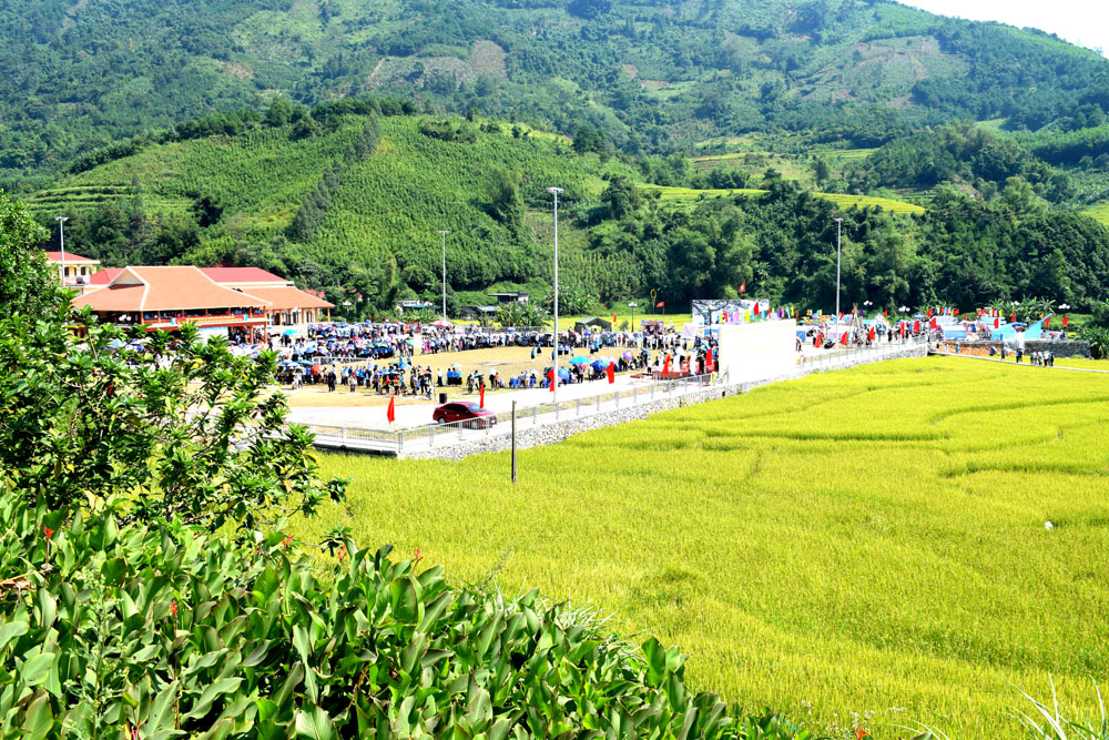 Lễ hội mùa vàng Đại Dực diễn ra tại khu vực Nhà văn hóa Sán Chỉ giữa mầu vàng của lúa