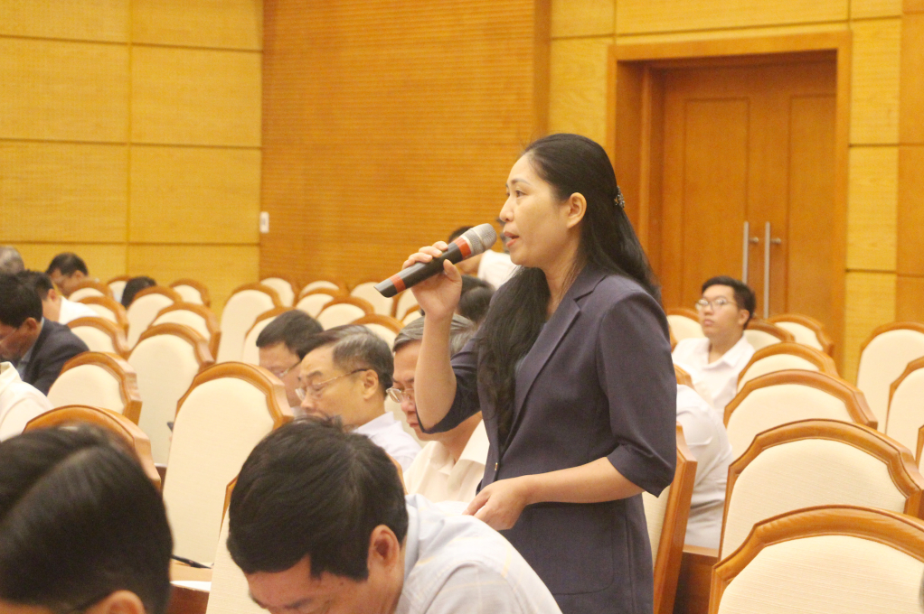 Đồng chí Nguyễn Thị Tuyết Hạnh, Chủ tịch UBND huyện Bình Liêu phát biểu tại hội nghị.
