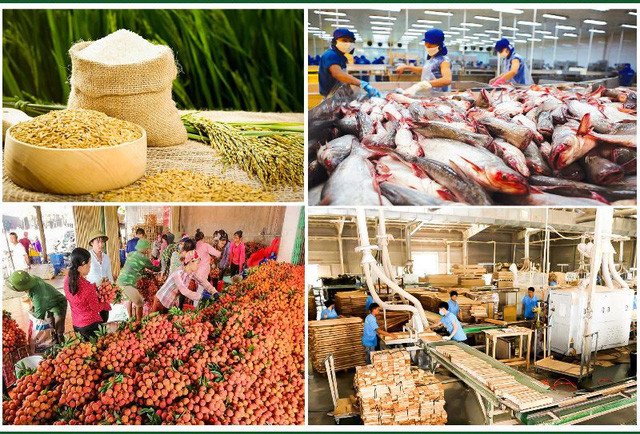 Xuất khẩu nông sản vượt mục tiêu Chính phủ giao - Ảnh 1. Xuất khẩu nông sản vượt mục tiêu Chính phủ giao - Ảnh 1.