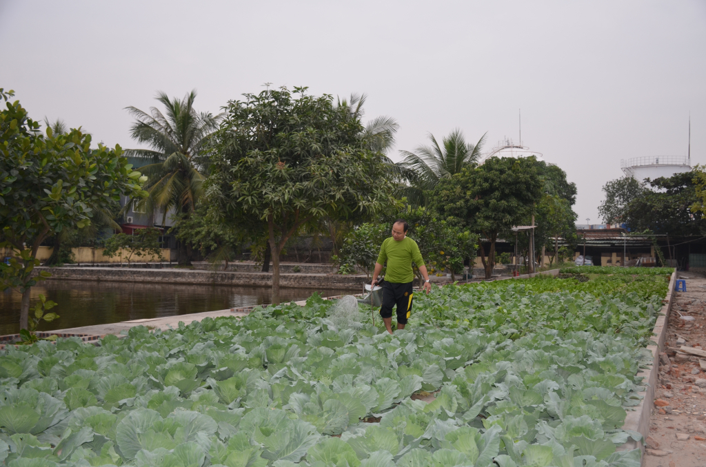 Hải đoàn Biên phòng 38 đẩy mạnh tăng gia đưa thêm vào khẩu phần ăn cho bộ đội.
