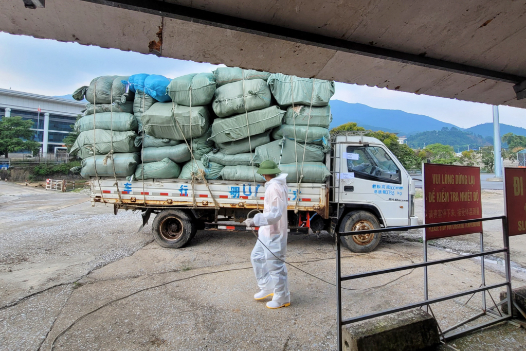 Chuyến xe nhập khẩu hàng đầu tiên trong ngày cửa khẩu Bắc Phong Sinh thông quan trở lại (26/9/2022). Từ đó đến nay hoạt động XNK hàng hóa diễn ra nhỏ lẻ, cầm chừng.