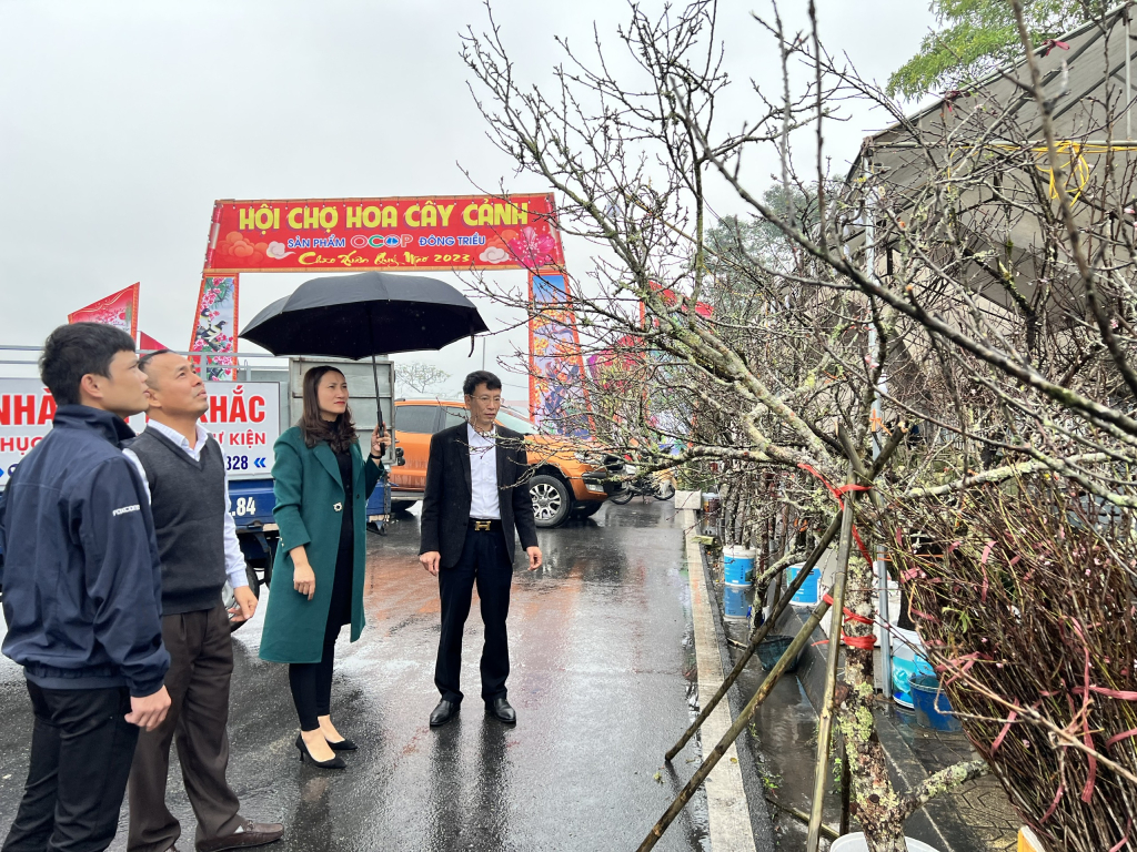 Hội chợ hoa - cây cảnh và OCOP